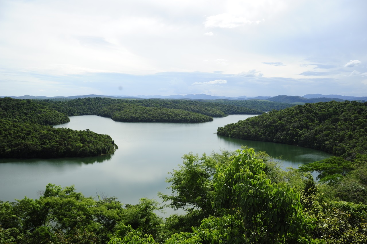 Os acordos de reparação firmados após os rompimentos das barragens de Fundão, em Mariana, e da Mina Córrego do Feijão, em Brumadinho, vêm promovendo uma das maiores agendas de recuperação ambiental já implementadas em MG